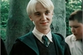 História: Eu amo esse idiota ( Draco Malfoy x leitora)