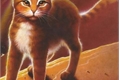 História: Gatos Guerreiros- Um C&#233;u sem Estrelas(Interativa)