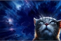 História: Guia ao universo de Gatos Guerreiros