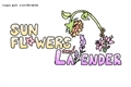 História: ; sunflowers and lavender