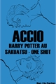 História: Accio - Harry Potter AU