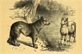 História: O cordeiro, a fera e o monstro