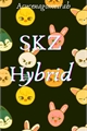 História: SKZ Hybrid