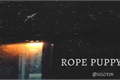 História: Rope puppy