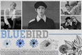 História: Bluebird SUNKI Shortfic.