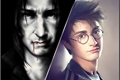 História: O companheiro de Severo Snape