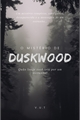 História: O mist&#233;rio de Duskwood
