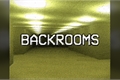 História: The Backrooms