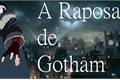 História: A Raposa de Gotham