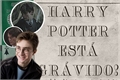História: Harry Potter est&#225; Gr&#225;vido!