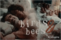 História: Birds and Bees