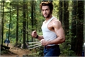 História: Wolverine - Crep&#250;sculo