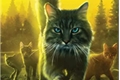 História: Guia ao universo de Gatos Guerreiros (ATUALIZADO)