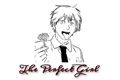 História: THE PERFECT GIRL - Imagine Denji