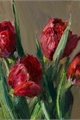 História: Aquelas tulipas vermelhas