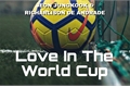 História: Love In The World Cup