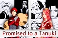 História: Promised to a Tanuki