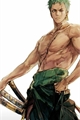 História: A gangue do chap&#233;u de palha ( Roronoa Zoro x Sn )