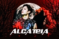 História: Alcateia (seungchan)