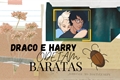 História: Draco e Harry odeiam baratas-Drarry