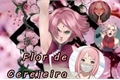 História: Flor de cerejeira - kakasaku