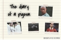 História: The diary of a pigeon - 2Son