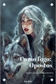 História: Como Fogo: Opostos