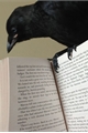 História: Dear lord raven