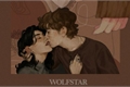 História: Text Talk - Wolfstar