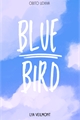 História: Blue Bird - Uchiha Obito