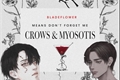 História: Crows And Myosotis