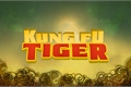 História: Kung Fu Tiger