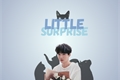 História: Little Surprise Yoonmin