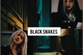 História: Black snakes (Chaennie)