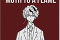 História: MOTH TO A FLAME - Ryusei Satou