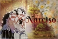 História: Narciso