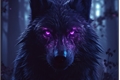História: O lobo de olhos violetas Sterek