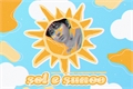 História: Sol e Sunoo