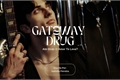 História: Gateway Drug