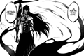 História: Final Getsuga Tensho