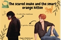 História: The scared snake and the smart orange kitten
