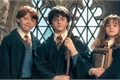 História: Harry Potter e a Pedra Filosofal (E se o destino fosse diferente?)-Harmione