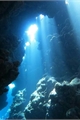 História: Entre O Azul Infinto- XiaoAether Siren!AU