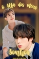 História: O alfa dos meus sonhos - Namjin