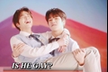 História: IS HE GAY? - Asahyuk - Treasure