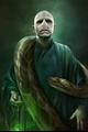 História: Lord Voldemort e a nivahssi secreta