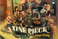 História: The One Piece University