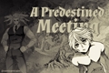 História: A Predestined Meeting