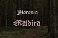 História: Floresta Maldita (remake)