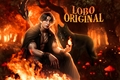 História: Lobo Original - Jungkook ABO